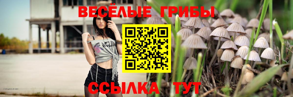 Галлюциногенные грибы Magic Shrooms Сургут